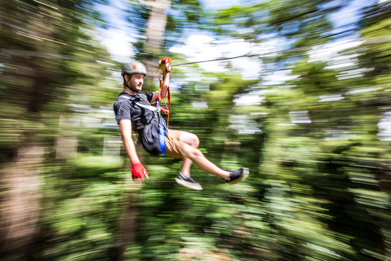 Treetop Challenge High Ropes Course Sunshine Coast Backpacker Deals