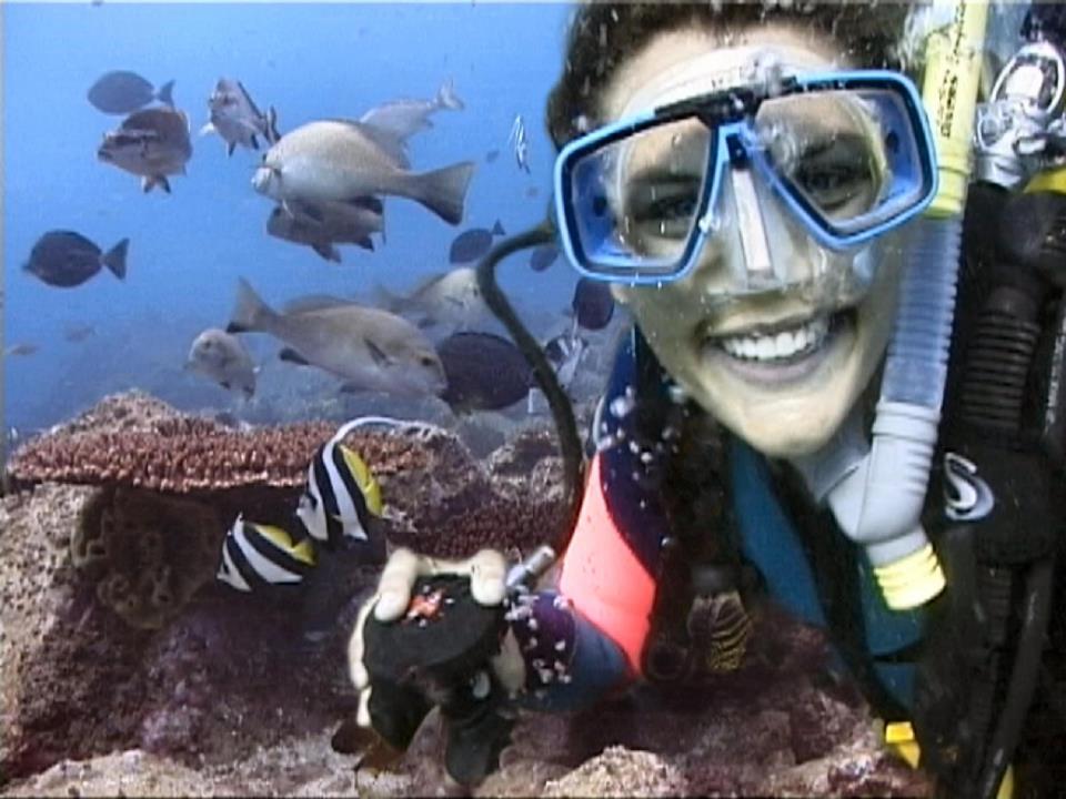 Certified Dive And Snorkel Tour Of Julian Rocks Backpacker Deals