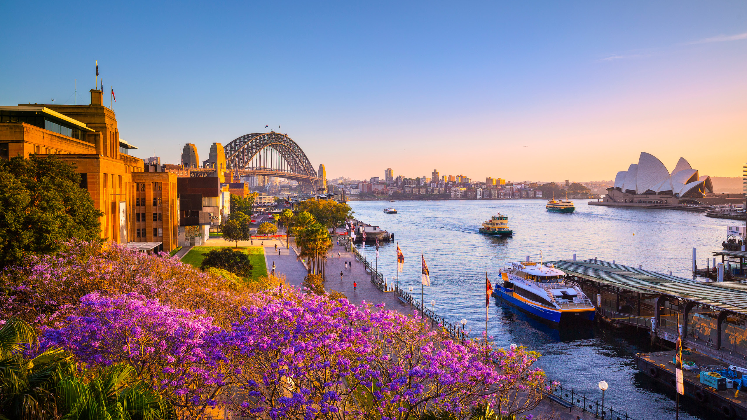 Sydney Harbour Dinner Cruise | Backpacker Deals