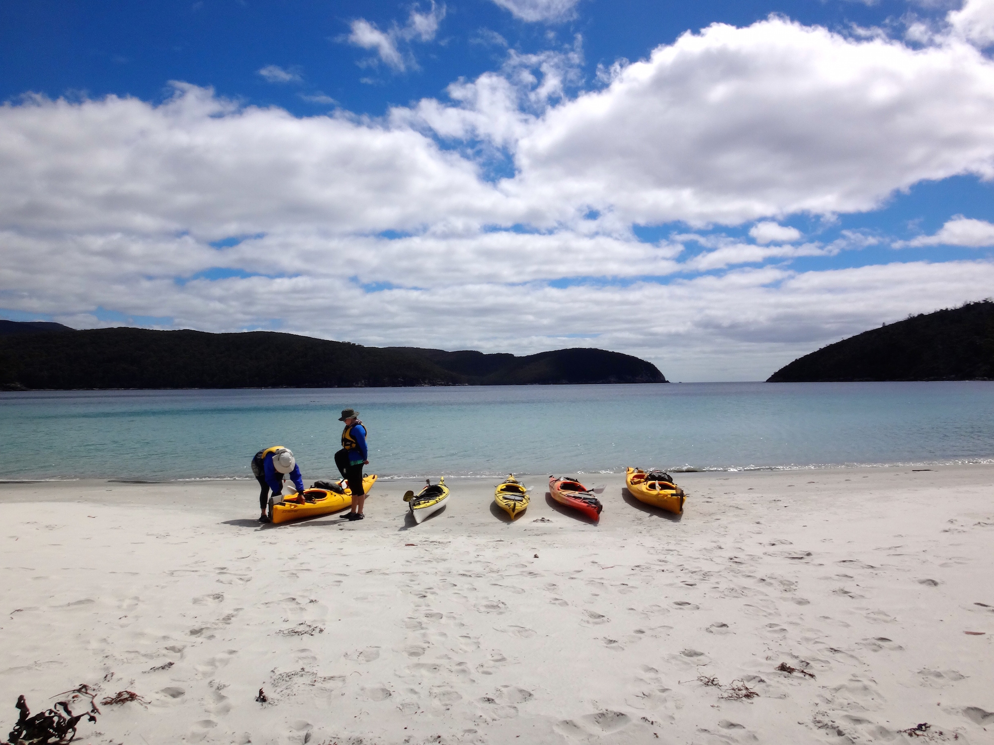 Tasman Peninsula Kayaking Tour Explore Tasman National Park and